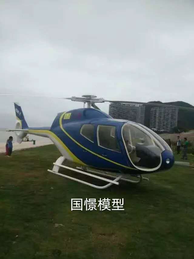 漳县飞机模型